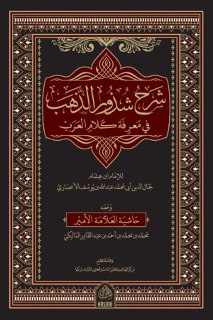 شرح شذور الذهب في معرفة كلام العرب