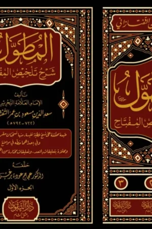 المطول شرح تلخيص المفتاح 3/1