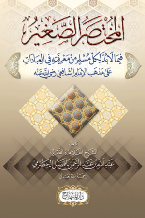 المختصر الصغير
