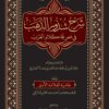 شرح شذور الذهب في معرفة كلام العرب