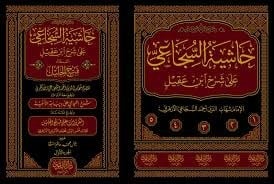 حاشية السجاعي على شرح ابن عقيل المسمى فتح الجليل